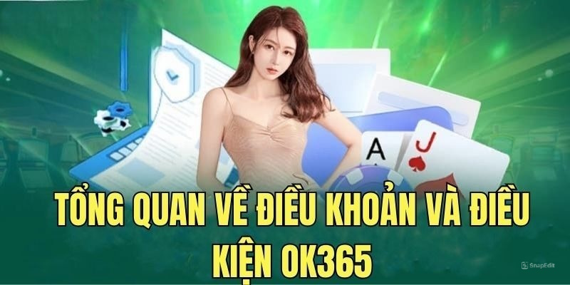 Điều khoản và điều kiện quang trọng tại Ok365